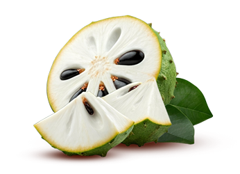 GUANABANA_foto