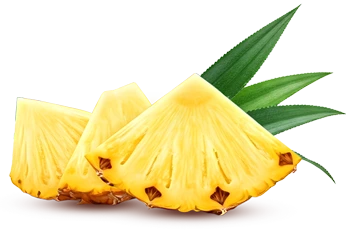 PINA_foto