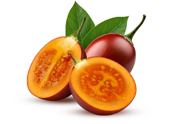 tomate_arbol_foto