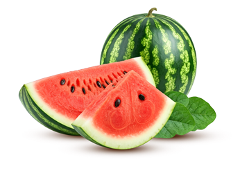 sandia_foto